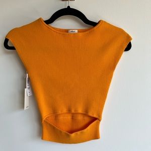 Wilfred aritzia Yacine top